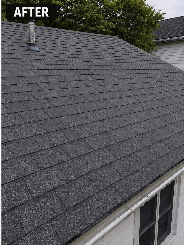 After — TPO flat roof cleaning before and after