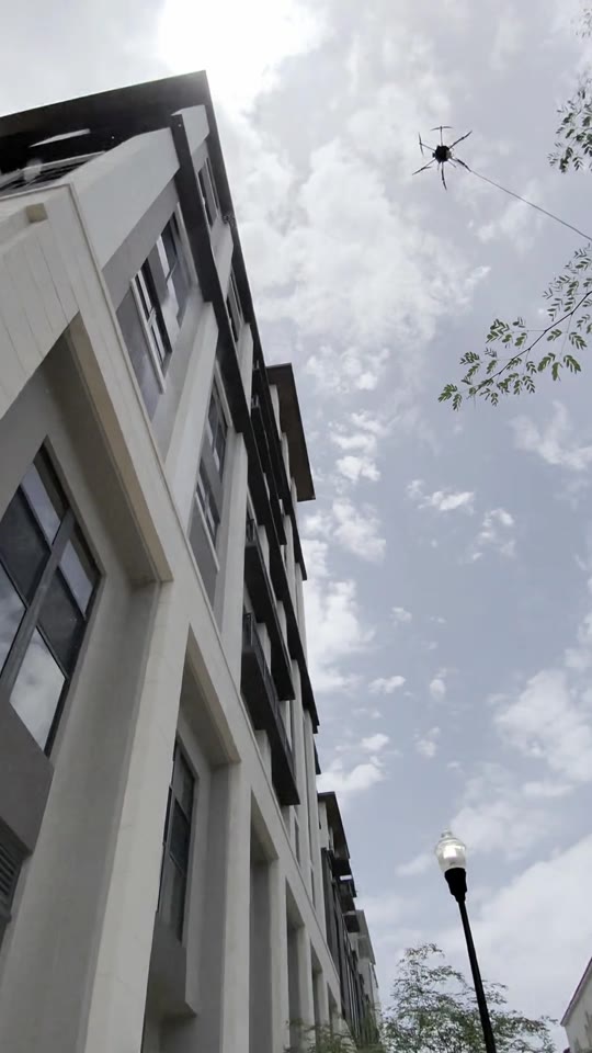 Climbing the facade under storm clouds